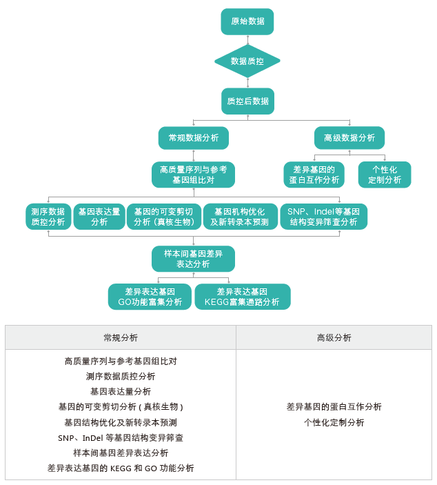 转录组测序-生信分析流程（有参）-K8凯发国际基因