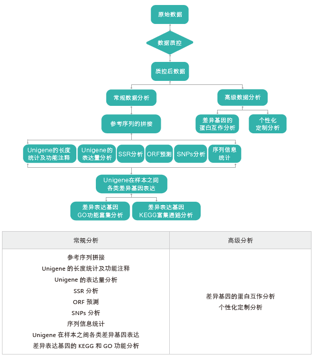 转录组测序-生信分析流程（无参）-K8凯发国际基因