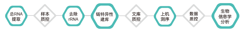 长链非编码RNA（lncRNA）测序-技术路线-K8凯发国际基因
