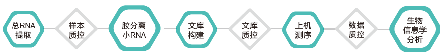 小RNA（small RNA）测序-技术路线-K8凯发国际基因